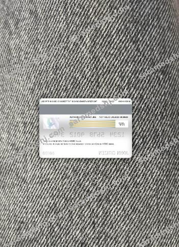 Czech HSBC bank visa debit card photolook back